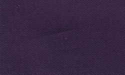 Plain Purple