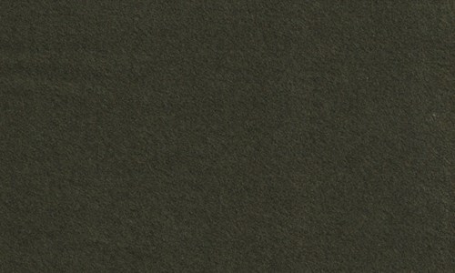 Olive Moleskin Plain