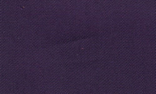 Plain Purple